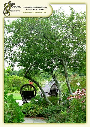 Sustainable Garden Coach using easy-care Native Plants 