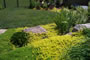 The Gentle Gardener - 2008-2009