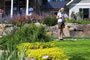 The Gentle Gardener - 2008-2009