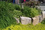The Gentle Gardener - 2008-2009