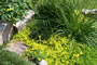The Gentle Gardener - 2008-2009