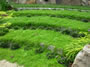 The Gentle Gardener - 2008-2009