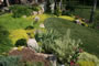 The Gentle Gardener - 2008-2009