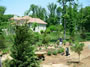 The Gentle Gardener - 2008-2009