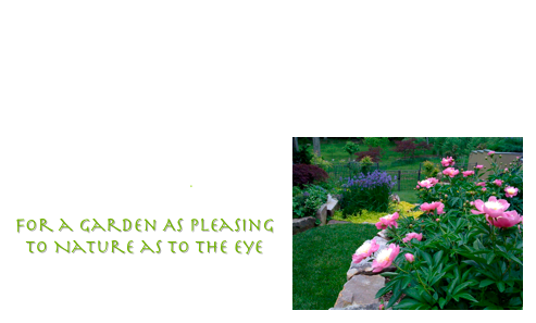    In theory all these gardens lie in zones 6B to 7, yet Spring comes earliest to city gardens in #Charlottesville and Richmond, then more slowly to the farms and estates of the Piedmont, and last of all to coastal New England. Construction and planting, Historic Garden Week in Virginia, weddings and events with farm fresh flowers:  Spring is a whirlwind￼ of scent and color. For your garden coach, please contact www.gentlegardener.com.

For a Garden As Pleasing to Nature as to the Eye