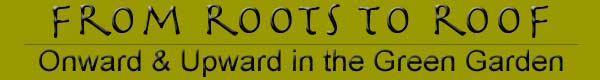 rrtitle